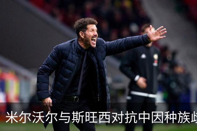 米尔沃尔与斯旺西对抗中因种族歧视事件暂停七分钟